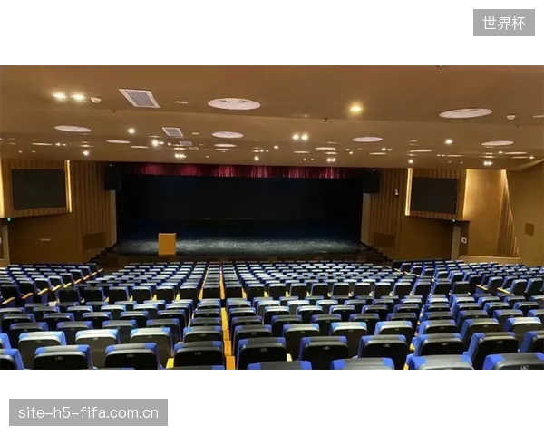 新余九中多功能厅的选择：轻质共聚物吸声挂板如何在保证声学效果前提下缩短施工周期